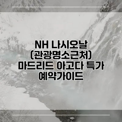 NH 나시오날 (관광명소근처) 마드리드 아고다 특가 예약가이드