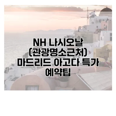 NH 나시오날 (관광명소근처) 마드리드 아고다 특가 예약팁