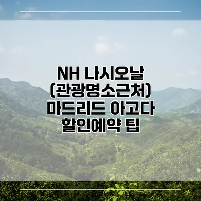 NH 나시오날 (관광명소근처) 마드리드 아고다 할인예약 팁