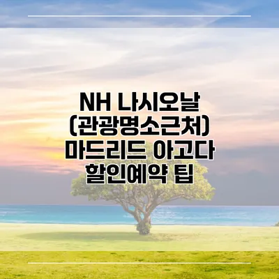 NH 나시오날 (관광명소근처) 마드리드 아고다 할인예약 팁