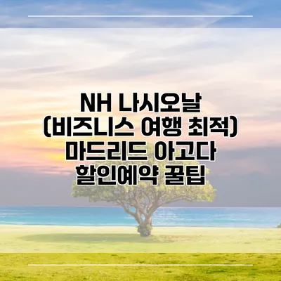 NH 나시오날 (비즈니스 여행 최적) 마드리드 아고다 할인예약 꿀팁