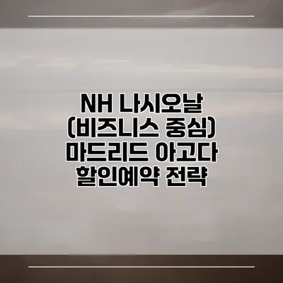 NH 나시오날 (비즈니스 중심) 마드리드 아고다 할인예약 전략