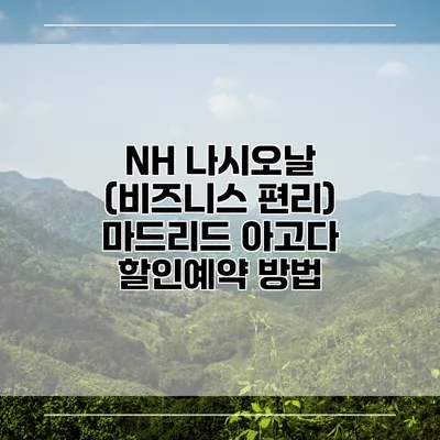 NH 나시오날 (비즈니스 편리) 마드리드 아고다 할인예약 방법