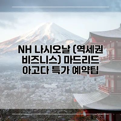 NH 나시오날 (역세권 비즈니스) 마드리드 아고다 특가 예약팁