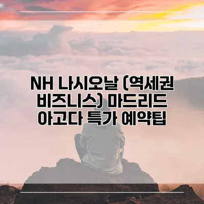 NH 나시오날 (역세권 비즈니스) 마드리드 아고다 특가 예약팁