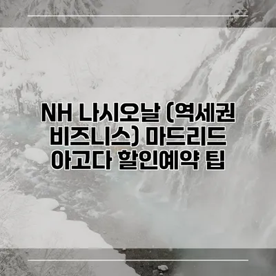 NH 나시오날 (역세권 비즈니스) 마드리드 아고다 할인예약 팁