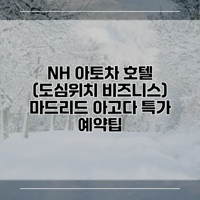 NH 아토차 호텔 (도심위치 비즈니스) 마드리드 아고다 특가 예약팁
