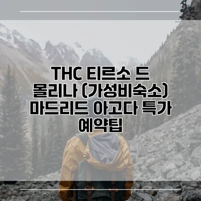 THC 티르소 드 몰리나 (가성비숙소) 마드리드 아고다 특가 예약팁