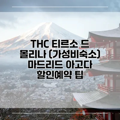 THC 티르소 드 몰리나 (가성비숙소) 마드리드 아고다 할인예약 팁