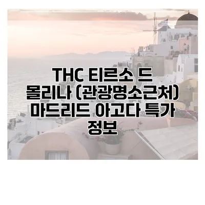 THC 티르소 드 몰리나 (관광명소근처) 마드리드 아고다 특가 정보