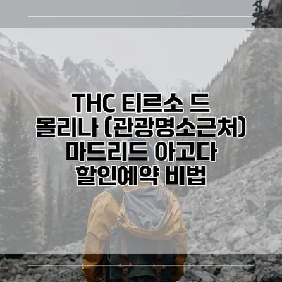 THC 티르소 드 몰리나 (관광명소근처) 마드리드 아고다 할인예약 비법