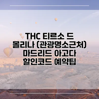 THC 티르소 드 몰리나 (관광명소근처) 마드리드 아고다 할인코드 예약팁