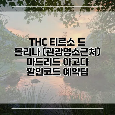 THC 티르소 드 몰리나 (관광명소근처) 마드리드 아고다 할인코드 예약팁