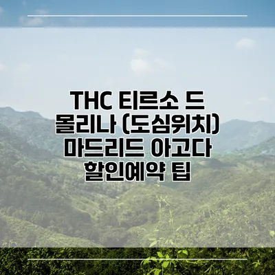 THC 티르소 드 몰리나 (도심위치) 마드리드 아고다 할인예약 팁