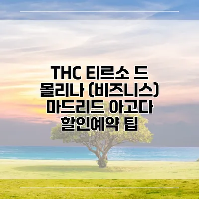 THC 티르소 드 몰리나 (비즈니스) 마드리드 아고다 할인예약 팁