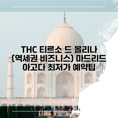 THC 티르소 드 몰리나 (역세권 비즈니스) 마드리드 아고다 최저가 예약팁