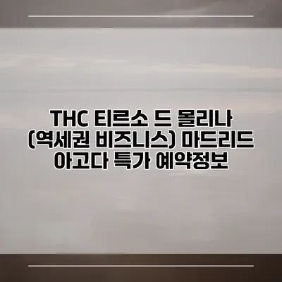 THC 티르소 드 몰리나 (역세권 비즈니스) 마드리드 아고다 특가 예약정보