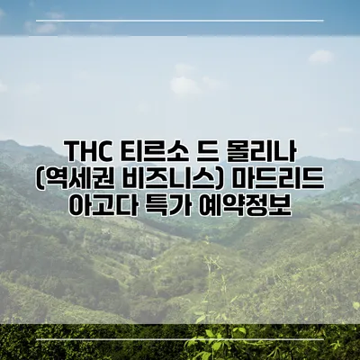 THC 티르소 드 몰리나 (역세권 비즈니스) 마드리드 아고다 특가 예약정보