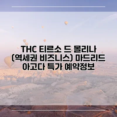 THC 티르소 드 몰리나 (역세권 비즈니스) 마드리드 아고다 특가 예약정보