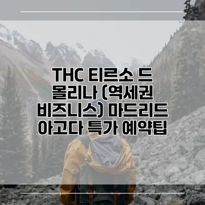 THC 티르소 드 몰리나 (역세권 비즈니스) 마드리드 아고다 특가 예약팁