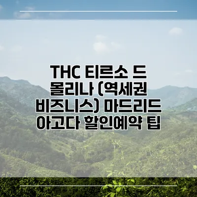 THC 티르소 드 몰리나 (역세권 비즈니스) 마드리드 아고다 할인예약 팁
