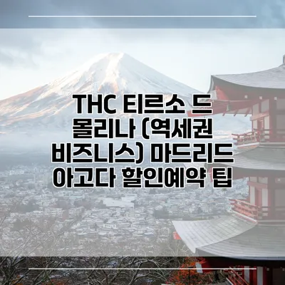 THC 티르소 드 몰리나 (역세권 비즈니스) 마드리드 아고다 할인예약 팁