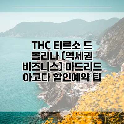 THC 티르소 드 몰리나 (역세권 비즈니스) 마드리드 아고다 할인예약 팁