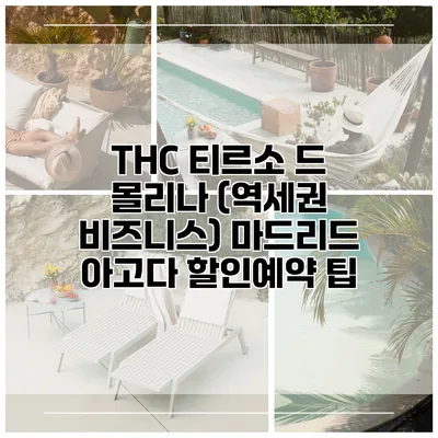 THC 티르소 드 몰리나 (역세권 비즈니스) 마드리드 아고다 할인예약 팁