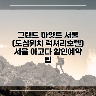 그랜드 하얏트 서울 (도심위치 럭셔리호텔) 서울 아고다 할인예약 팁