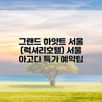 그랜드 하얏트 서울 (럭셔리호텔) 서울 아고다 특가 예약팁