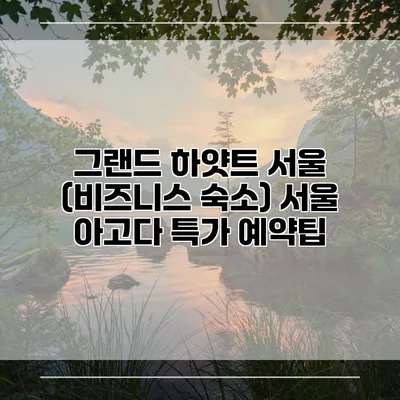그랜드 하얏트 서울 (비즈니스 숙소) 서울 아고다 특가 예약팁