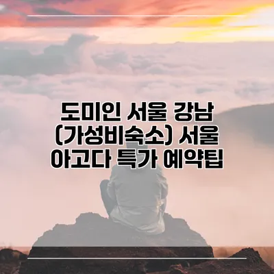 도미인 서울 강남 (가성비숙소) 서울 아고다 특가 예약팁
