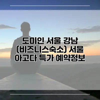 도미인 서울 강남 (비즈니스숙소) 서울 아고다 특가 예약정보