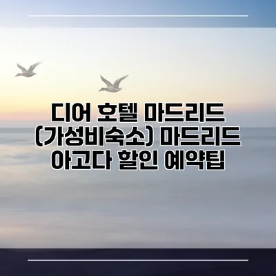 디어 호텔 마드리드 (가성비숙소) 마드리드 아고다 할인 예약팁