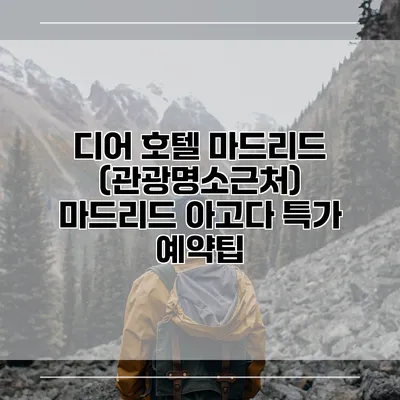 디어 호텔 마드리드 (관광명소근처) 마드리드 아고다 특가 예약팁