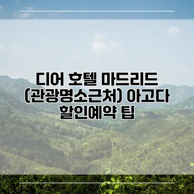 디어 호텔 마드리드 (관광명소근처) 아고다 할인예약 팁