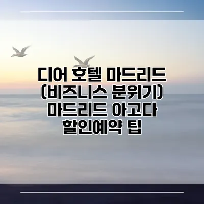 디어 호텔 마드리드 (비즈니스 분위기) 마드리드 아고다 할인예약 팁