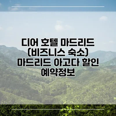 디어 호텔 마드리드 (비즈니스 숙소) 마드리드 아고다 할인 예약정보