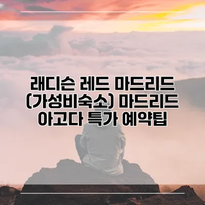 래디슨 레드 마드리드 (가성비숙소) 마드리드 아고다 특가 예약팁