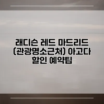 래디슨 레드 마드리드 (관광명소근처) 아고다 할인 예약팁