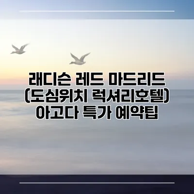 래디슨 레드 마드리드 (도심위치 럭셔리호텔) 아고다 특가 예약팁