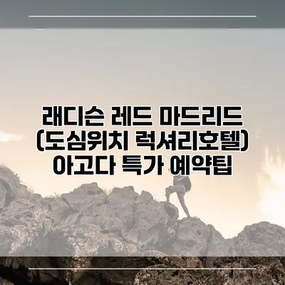 래디슨 레드 마드리드 (도심위치 럭셔리호텔) 아고다 특가 예약팁
