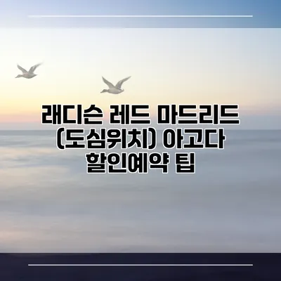 래디슨 레드 마드리드 (도심위치) 아고다 할인예약 팁