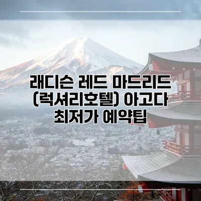 래디슨 레드 마드리드 (럭셔리호텔) 아고다 최저가 예약팁