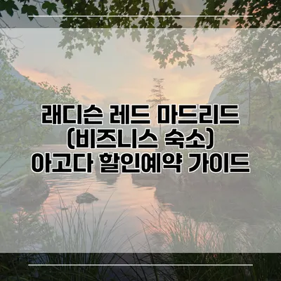 래디슨 레드 마드리드 (비즈니스 숙소) 아고다 할인예약 가이드