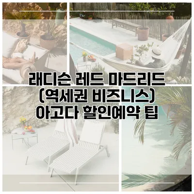 래디슨 레드 마드리드 (역세권 비즈니스) 아고다 할인예약 팁