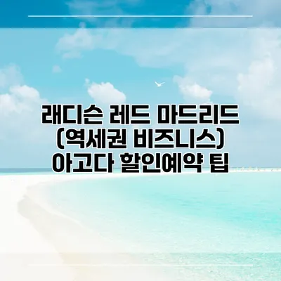 래디슨 레드 마드리드 (역세권 비즈니스) 아고다 할인예약 팁