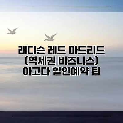 래디슨 레드 마드리드 (역세권 비즈니스) 아고다 할인예약 팁