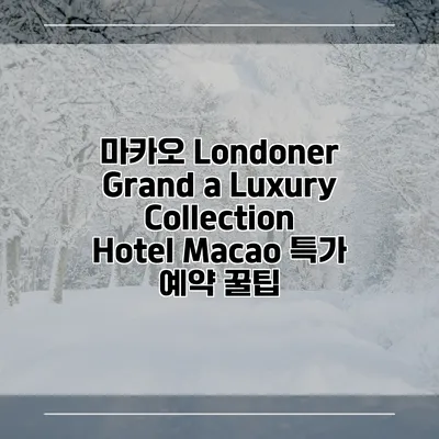 마카오 Londoner Grand a Luxury Collection Hotel Macao 특가 예약 꿀팁