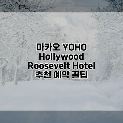 마카오 YOHO Hollywood Roosevelt Hotel 추천 예약 꿀팁